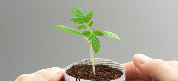 1574063755105552.jpg 4.jpg